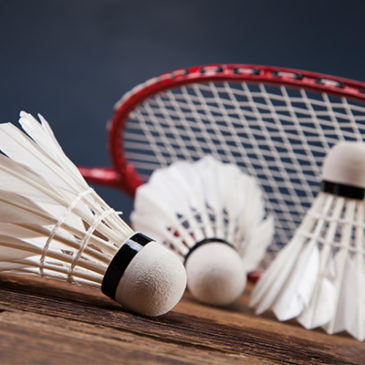 Badminton élite